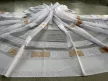 Kész függöny fehér alapon görög arany 500x250cm