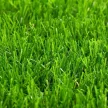  California 40mm zöld kültéri műfű 200cm széles tekercs