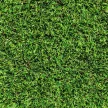  Miami 50mm zöld kültéri műfű 400cm széles tekercs