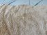 Shaggy Ibiza beige (bézs) szőnyeg 80x150cm poszt