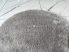 Shaggy Ibiza gray (világosszürke) szőnyeg 100cm kerek