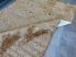 Natty shaggy szőnyeg beige (bézs) 160x230cm
