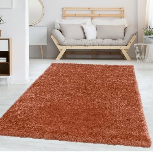   Venezia shaggy szőnyeg Terra 120x170cm