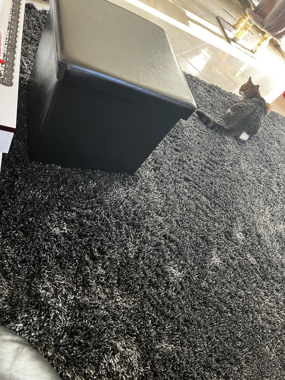 FLUFFY 3500 ANTHRAZIT szőnyeg 80x150cm
